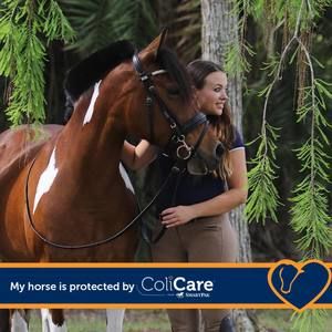 Meet your Posher, Summer